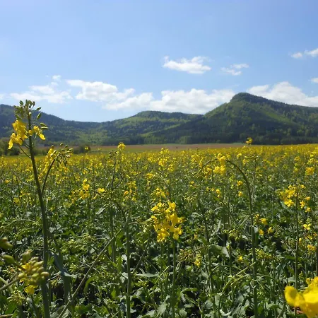 Koruna Casa di campagna Božanov